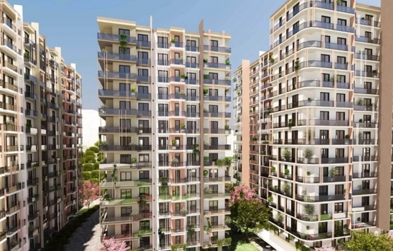 Mari Vadi Evleri geliyor! Yeni proje!