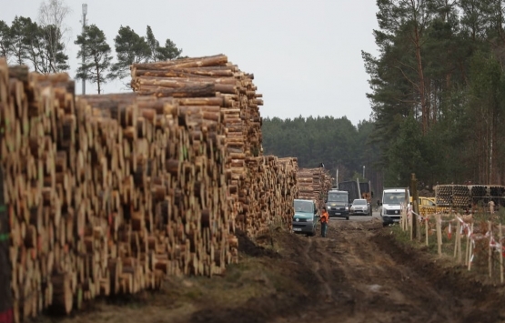 Alman mahkemesi Tesla fabrikasına onay verdi!
