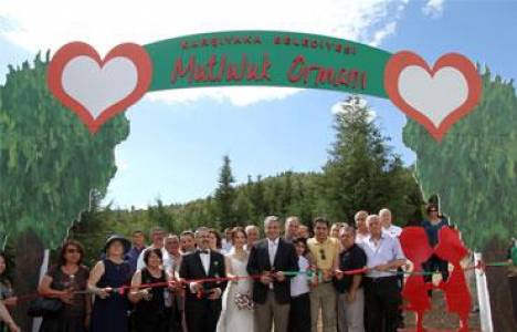 Karşıyaka Belediyesi Mutluluk Ormanı kurdu!