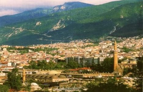 Bursa Yıldırım'da anıt ağaç tescili kaldırıldı!