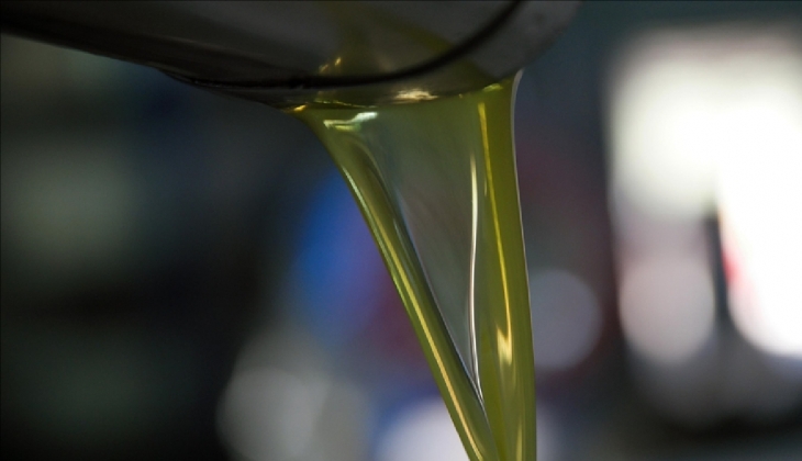 Zeytin üretiminde korkutan gelişme! 1 litre zeytinyağı 350 TL ye, zeytin kg 400 TL ye çıkabilir!