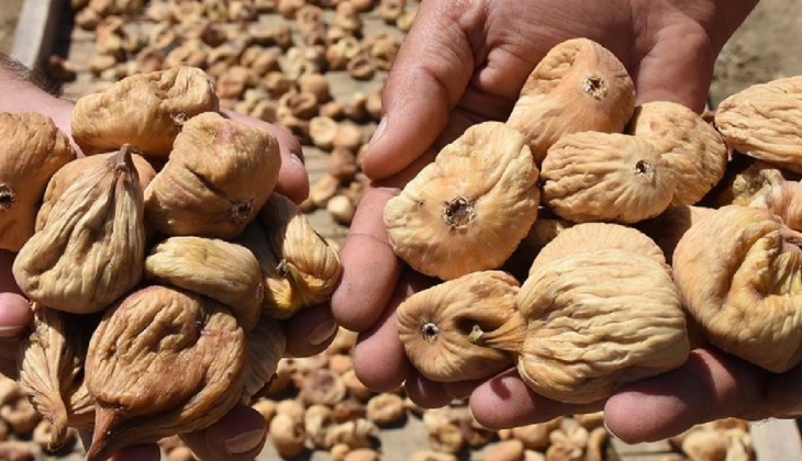 Aydın Nazilli’nin sektör devi Sante Gıda konkordato başvurusu yaptı!