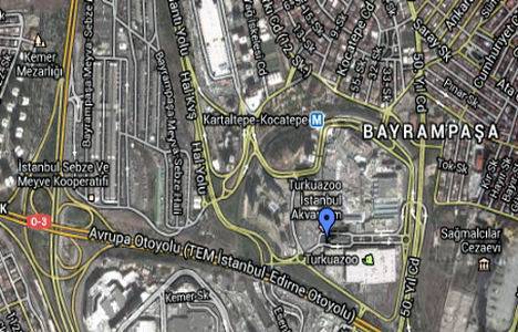 Forum İstanbul Turkuazoo Akvaryum giriş ücreti 2014!