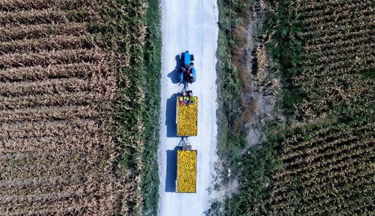 Mazot ve gübre destekleri erken ödenecek! Resmi Gazete de yayımlandı, detaylar açıklandı: Çiftçilere müjde!