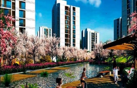 Resim İstanbul Orman yıl sonu kampanyası devam ediyor!