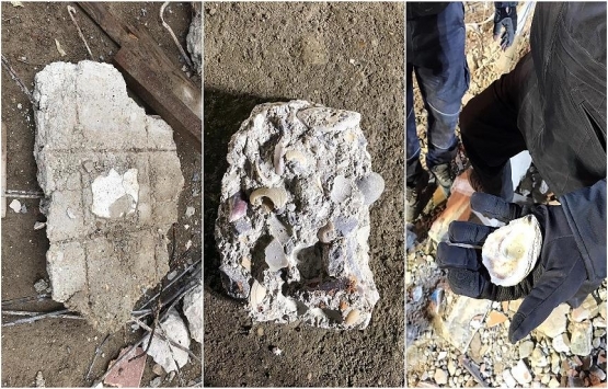 Kartal'da çöken binanın enkazındaki deniz kabukları görüntülendi!