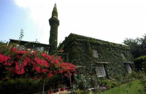 Adana'daki 83 yıllık cami sarmaşıklardan dolayı depremde zarar görmüyor!