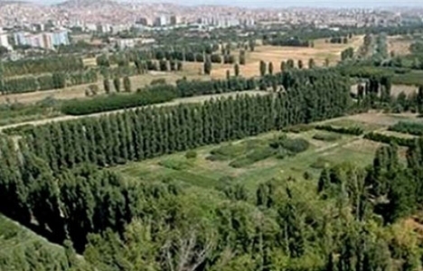 Sayıştay: AOÇ’un yüzde 40’ı gitti