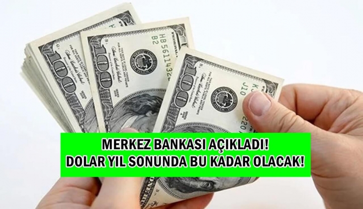 Dolar ne 25 TL ne de 40 TL olacak! Merkez Bankası resmen açıkladı! Dolar yıl sonunda tam bu kadar olacak!