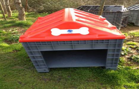 Yuvaya Dönüşen Plastikler Kampanyası PAGDER ve Boğaziçi Üniversitesi ile gerçekleşti!