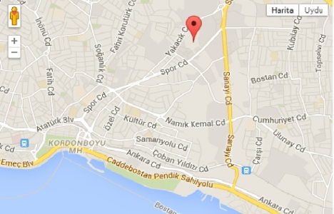 Kartal Manzara Adalar nerede?