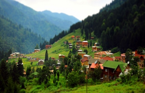 TOKİ Ayder Yaylası kentsel dönüşüm ihalesi yapıldı!