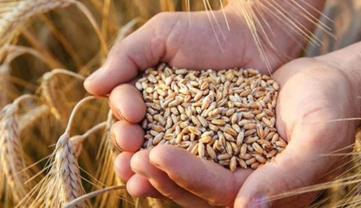 Buğday, arpa, mısır fiyatlarında yeni hafta depremi! Borsalar bir bir duyurdu! Çiftçilere flaş haber!