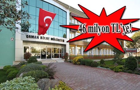 Ankara Orman Müdürlüğü inşaat ihalesi 11 Ocak'a ertelendi!