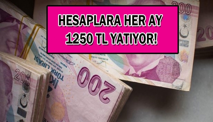 Aile Bakanlığı yeni ay sosyal destek ödemelerine başladı mı? 2023 Aile Destek parasına şubat zammı gelecek mi?