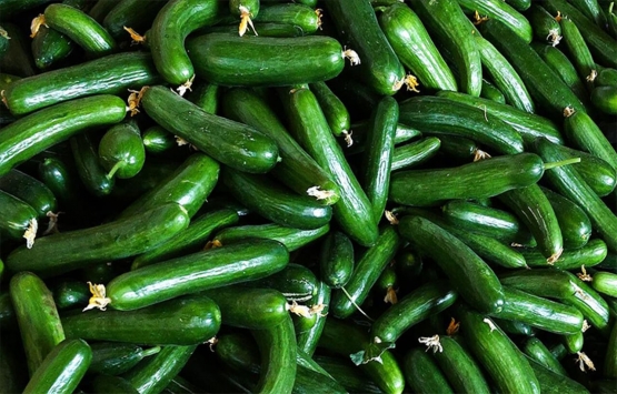 Rusya-Ukrayna savaşı domates, salatalık ve biber fiyatlarını yüzde 30 düşürdü!