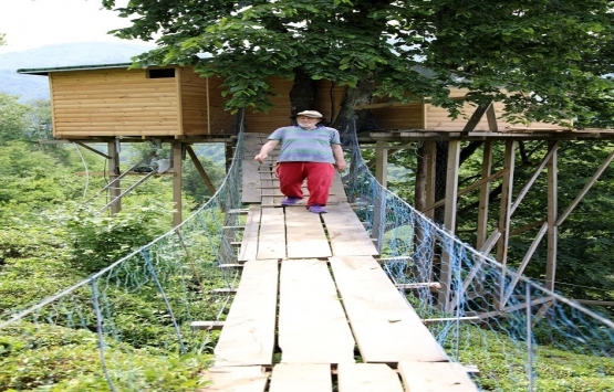 Artvin Arhavi deki ağaç evlere talepler arttı!