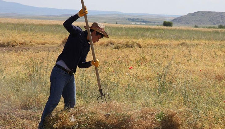 Çiftçiler dikkat! Tam bu kadar yem ve mazot gübre desteği hesaplara yattı! Tek tek rakamlar açıklandı! 
