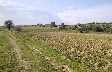 İstanbul Tuzla'da 4.2 milyon TL'ye satılık tarla!