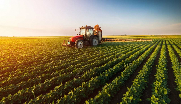 Çiftçiler dikkat! Tarım ve Orman Bakanlığı’ndan tarımsal destek müjdesi! Ödemeler ne zaman yatacak? 