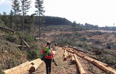 Bursa Kocayayla Göleti'nin planlama raporu tamamlandı mı?