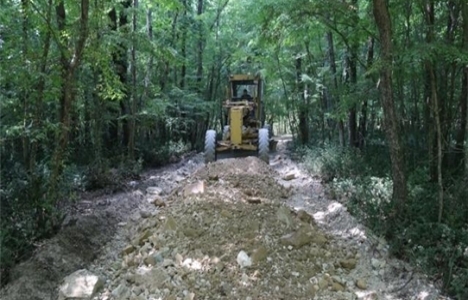 Kırklareli Longoz Ormanları'nda yollar onarılıyor!
