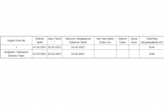 Halk Varlık Kiralama 120 milyon TL kira sertifikası sattı!