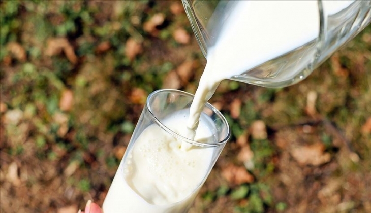 SON DAKİKA HABERİ: Çiğ süt tavsiye fiyatı belirlendi! Yüzde 35,2 zam