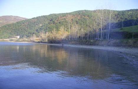 Samsun Kızılırmak Deltası Kuş Cenneti'nde yangıın çıktı!