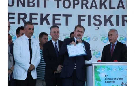 Çanakkale'deki 11 tesisin temeli atıldı!