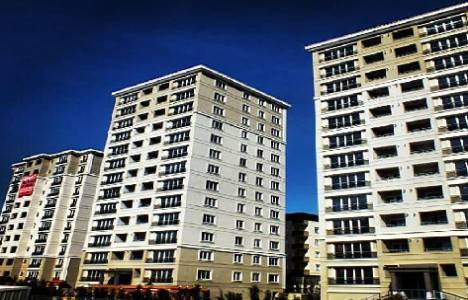 Maltepe Adalife Projesi!