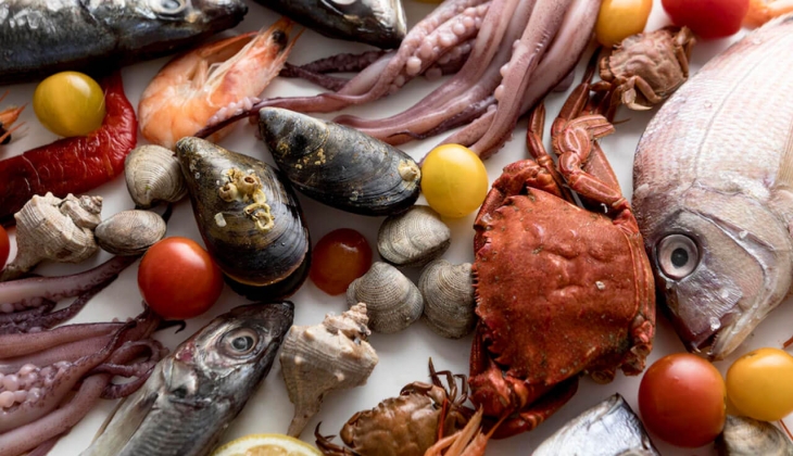 İstanbul Balık Hal fiyatları ne kadar? İşte 22 Haziran 2022 fiyat listesi