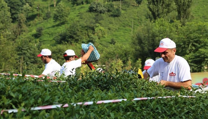 Çaykur kura sonuçları isim listesi yayınlandı mı? İŞKUR 2022 Çaykur işçi alımı sonuçları…