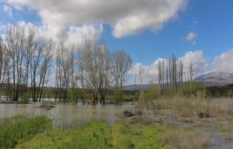 Büyük Menderes Nehri taştı!