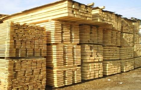 Ağaç ve orman ürünleri ihracatı arttı!