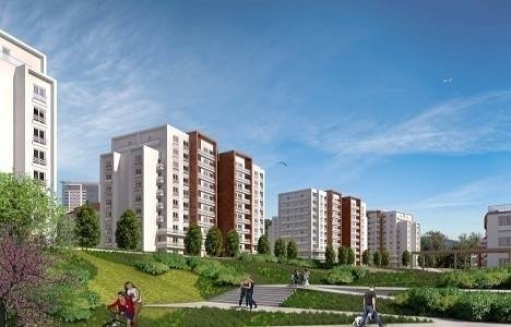 Tema İstanbul projesi nerede