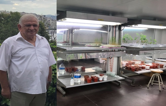 İstanbul Üniversitesi ndeki botanik bahçeye tahliye şoku!