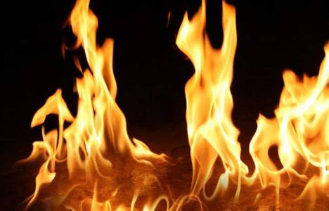 Kocaeli'de yangın çıktı!