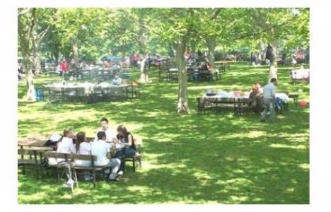 Mesire Yerleri Yönetmeliği!