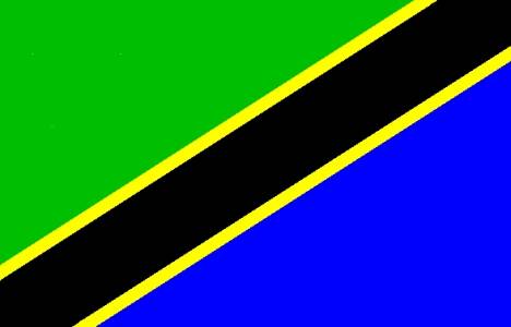 Tanzanyalılar Türkiye'den ev alabilir mi?