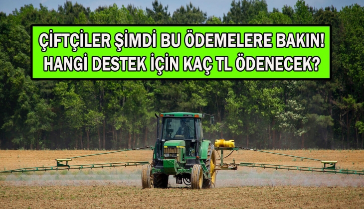 Çiftçilere son dakika müjdesi! Bugün hesaplara tam 75,8 milyon TL yatıyor! Kalem kalem belli oldu! 