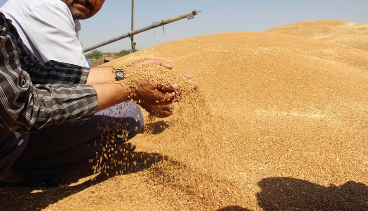 TMO buğday fiyatını açıkladıktan sonra paranın hesaplara nasıl geçeceği belli oldu! Çiftçilere ödeme uyarısı