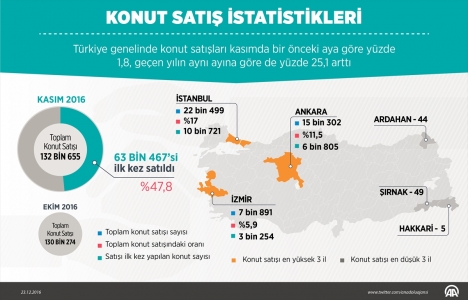 Türkiye de Kasım da 132 bin 655 konut satıldı!