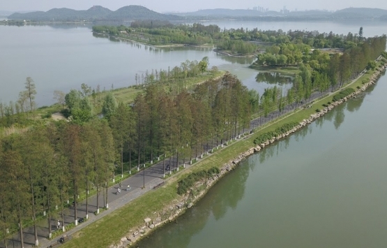 Wuhan’da iki gölü birleştirecek otoyol tünelinin inşaatı başladı!