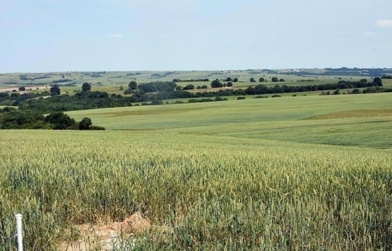 Son 5 yılda ne kadar kamu arazisi satıldı?