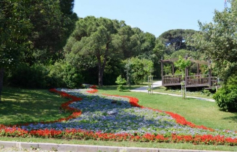 Küçük Çamlıca Korusu imara mı açılacak?