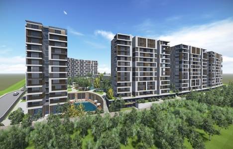 Cennet Koru güncel fiyat listesi!