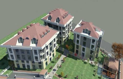 Zin D Natura resimleri!