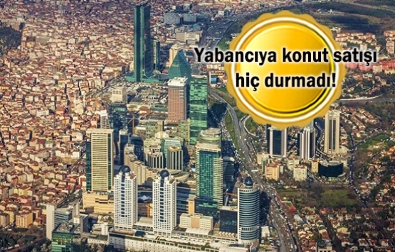 Gayrimenkul sektörü istenilen ivmeye kavuştu!