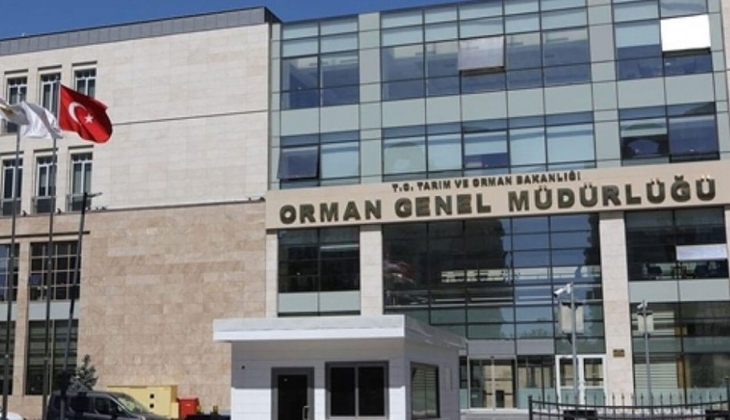 Orman Genel Müdürlüğü KPSS şartsız personel alımı başladı! İşte alım yapılacak branşlar!